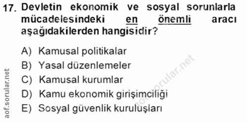 17. soru: Devletin ekonomik ve sosyal sorunlarla mücadelesindeki en önemli aracı aşağıdakilerden hangisidir? A) Kamusal politik…