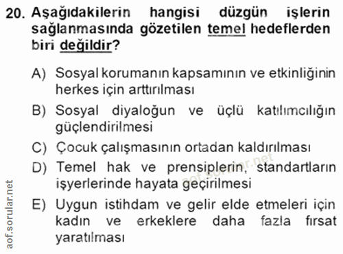 20. soru: Aşağıdakilerin hangisi düzgün işlerin sağlanmasında gözetilen temel hedeflerden biri değildir? A) Sosyal korumanın ka…