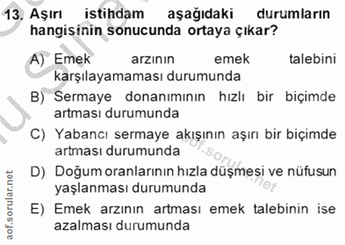 13. soru: Aşırı istihdam aşağıdaki durumların hangisinin sonucunda ortaya çıkar? A) Emek arzının emek talebini karşılayamaması…