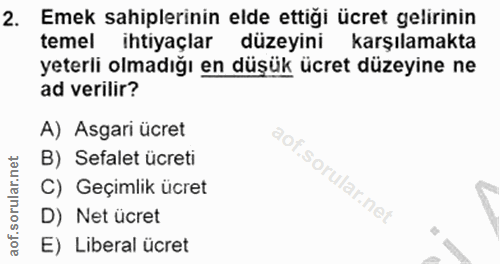 2. soru: Emek sahiplerinin elde ettiği ücret gelirinin temel ihtiyaçlar düzeyini karşılamakta yeterli olmadığı en düşük ücret…