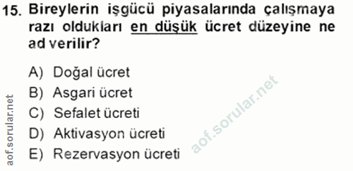 15. soru: Bireylerin işgücü piyasalarında çalışmaya razı oldukları en düşük ücret düzeyine ne ad verilir? A) Doğal ücret B) Asg…