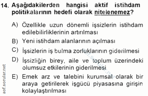 14. soru: Aşağıdakilerden hangisi aktif istihdam politikalarının hedefi olarak nitelenemez? A) Özellikle uzun dönemli işsizleri…