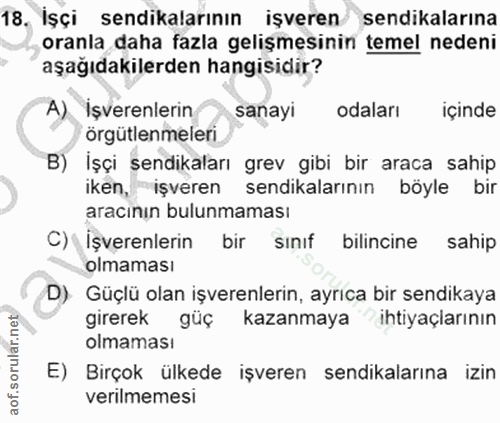 18. soru: Işçi 18. Işçi sendikalarının işveren sendikalarına oranla daha fazla gelişmesinin temel nedeni aşağıdakilerden hangis…