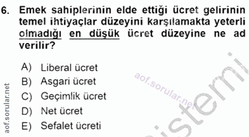 6. soru: Emek sahiplerinin elde ettiği ücret gelirinin temel ihtiyaçlar düzeyini karşılamakta yeterli olmadığı en düşük ücret…