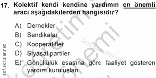 17. soru: Kolektif kendi kendine yardımın en önemli aracı aşağıdakilerden hangisidir? A) Dernekler B) Sendikalar C) Kooperatifl…