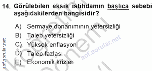 14. soru: Görülebilen eksik istihdamın başlıca sebebi aşağıdakilerden hangisidir? A) Sermaye donanımının yetersizliği B) Talep…