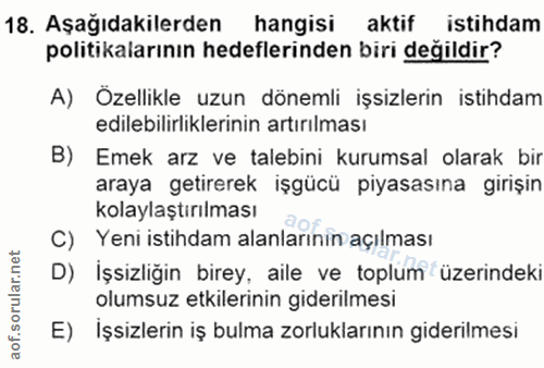 18. soru: Aşağıdakilerden hangisi aktif istihdam politikalarının hedeflerinden biri değildir? A) Özellikle uzun dönemli işsizle…