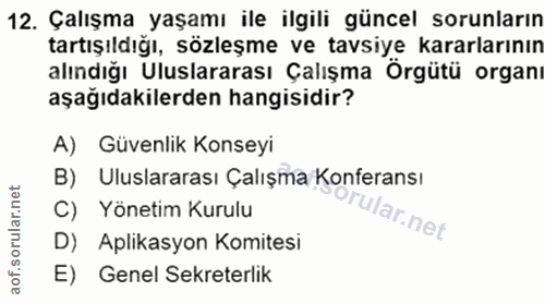 12. soru: Çalışma yaşamı ile ilgili güncel sorunların tartışıldığı, sözleşme ve tavsiye kararlarının alındığı Uluslararası Çalı…