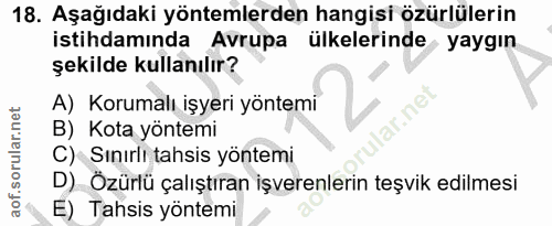 18. soru: Aşağıdaki yöntemlerden hangisi özürlülerin istihdamında Avrupa ülkelerinde yaygın şekilde kullanılır? A) Korumalı işy…