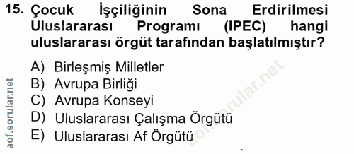 15. soru: Çocuk İşçiliğinin Sona Erdirilmesi Uluslararası Programı (IPEC) hangi uluslararası örgüt tarafından başlatılmıştır? A…
