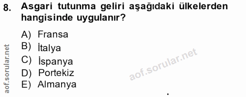 8. soru: Asgari tutunma geliri aşağıdaki ülkelerden hangisinde uygulanır? A) Fransa B) Italya C) İspanya D) Portekiz E) Almanya