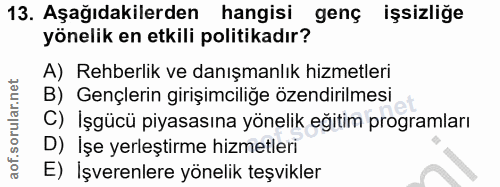 13. soru: Aşağıdakilerden hangisi genç işsizliğe yönelik en etkili politikadır? A) Rehberlik ve danışmanlık hizmetleri B) Gençl…