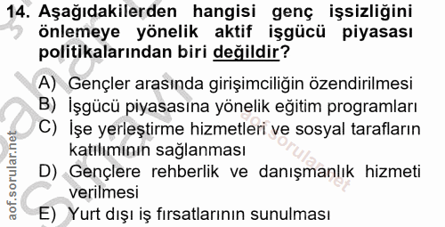 14. soru: Aşağıdakilerden hangisi genç işsizliğini önlemeye yönelik aktif işgücü piyasası politikalarından biri değildir? A) Ge…
