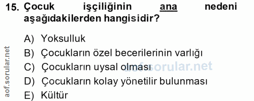 15. soru: Çocuk işçiliğinin ana nedeni aşağıdakilerden hangisidir? A) Yoksulluk B) Çocukların özel becerilerinin varlığı C) Çoc…