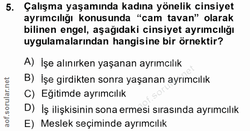 5. soru: Çalışma yaşamında kadına yönelik cinsiyet ayrımcılığı konusunda "cam tavan" olarak bilinen engel, aşağıdaki cinsiyet…