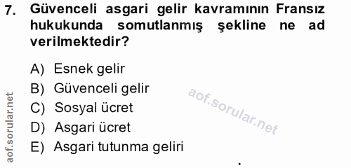 7. soru: Güvenceli asgari gelir kavramının Fransız hukukunda somutlanmış şekline ne ad verilmektedir? A) Esnek gelir B) Güvenc…