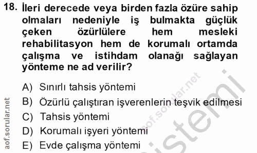 18. soru: İleri derecede veya birden fazla özüre sahip olmaları nedeniyle iş bulmakta güçlük çeken özürlülere hem mesleki rehab…