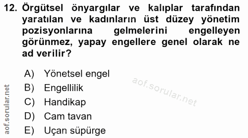 12. soru: Örgütsel önyargılar ve kalıplar tarafından yaratılan ve kadınların üst düzey yönetim pozisyonlarına gelmelerini engel…