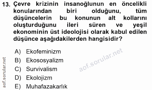 13. soru: Çevre krizinin insanoğlunun en öncelikli konularından biri oldugunu, tüm düşüncelerin bu konunun alt kollarını oluştu…