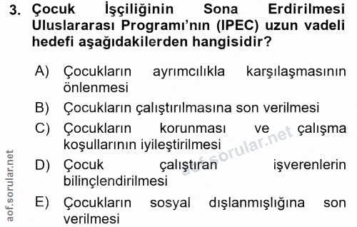 3. soru: Çocuk İşçiliğinin Sona Erdirilmesi Uluslararası Programı'nın (IPEC) uzun vadeli hedefi aşağıdakilerden hangisidir? A)…