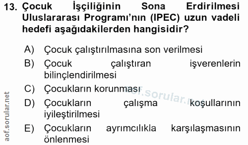 13. soru: Çocuk İşçiliğinin Sona Erdirilmesi Uluslararası Programı'nın (IPEC) uzun vadeli hedefi aşağıdakilerden hangisidir? A)…
