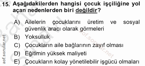 15. soru: Aşağıdakilerden hangisi çocuk işçiliğine yol açan nedenlerden biri değildir? A) Ailelerin çocuklarını üretim ve sosya…