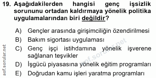 19. soru: Aşağıdakilerden hangisi genç işsizlik sorununu ortadan kaldırmaya yönelik politika uygulamalarından biri değildir? A)…