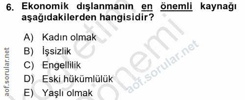 6. soru: Ekonomik dışlanmanın en önemli kaynağı aşağıdakilerden hangisidir? A) Kadın olmak B) İşsizlik lof. C) Engellilik D) E…