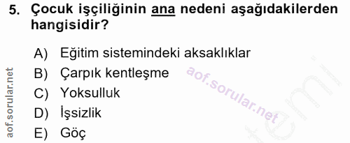 5. soru: Çocuk işçiliğinin ana nedeni aşağıdakilerden hangisidir? A) Eğitim sistemindeki aksaklıklar B) Çarpık kentleşme C) Yo…