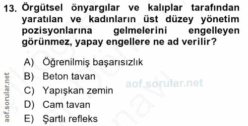 13. soru: Örgütsel önyargılar ve kalıplar tarafından yaratılan ve kadınların üst düzey yönetim pozisyonlarına gelmelerini engel…