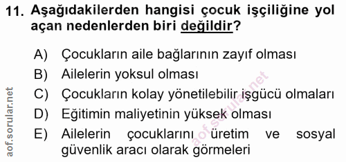 11. soru: Aşağıdakilerden hangisi çocuk işçiliğine yol açan nedenlerden biri değildir? A) Çocukların aile bağlarının zayıf olma…