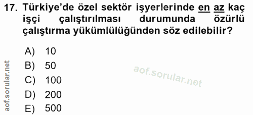 17. soru: Türkiye'de özel sektör işyerlerinde en az kaç işçi çalıştırılması durumunda özürlü çalıştırma yükümlülüğünden söz edi…