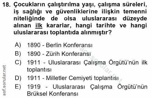 18. soru: Çocukların çalıştırılma yaşı, çalışma süreleri, iş sağlığı ve güvenliklerine ilişkin temenni niteliğinde de olsa ulus…