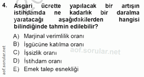 4. soru: Asgari ücrette yapılacak bir artışın istihdamda ne kadarlık bir daralma yaratacağı aşağıdakilerden hangisi bilindiğin…