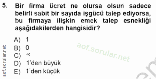 5. soru: Bir firma ücret ne olursa olsun sadece belirli sabit bir sayıda işgücü talep ediyorsa, bu firmaya ilişkin emek talep…