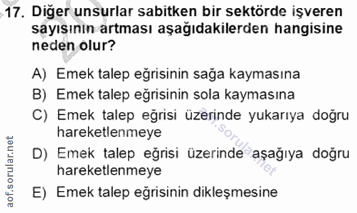 17. soru: Diğer unsurlar sabitken bir sektörde işveren sayısınin artması aşağıdakilerden hangisine neden olur? A) Emek talep eğ…