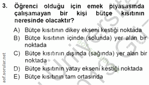 3. soru: Öğrenci olduğu için emek piyasasında çalışamayan bir kişi bütçe kısıtının neresinde olacaktır? A) Bütçe kısıtının dik…