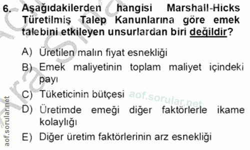 6. soru: Aşağıdakilerden hangisi Marshall-Hicks Türetilmiş Talep Kanunlarına göre emek talebini etkileyen unsurlardan biri değ…
