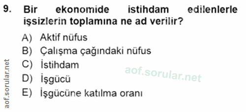 9. soru: Bir ekonomide istihdam edilenlerle işsizlerin toplamına ne ad verilir? A) Aktif nüfus B) Çalışma çağındaki nüfus C) İ…