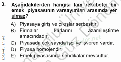 3. soru: Aşağıdakilerden hangisi tam rekabetçi bir emek piyasasının varsayımları arasında yer almaz? A) Piyasaya giriş ve çıkı…