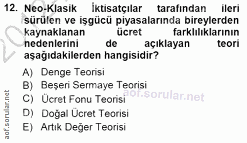 12. soru: Neo-Klasik İktisatçılar tarafindan ileri sürülen ve işgücü piyasalarında bireylerden kaynaklanan ücret farklılıkların…