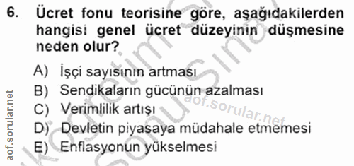 6. soru: Ücret fonu teorisine göre, aşağıdakilerden hangisi genel ücret düzeyinin düşmesine neden olur? A) Işçi sayısının artm…