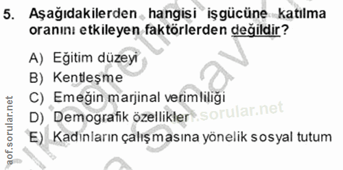 5. soru: Aşağıdakilerden hangisi işgücüne katılma oranını etkileyen faktörlerden değildir? A) Egitim düzeyi B) Kentleşme C) Em…