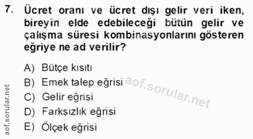 7. soru: Ücret oranı ve ücret dışı gelir veri iken, bireyin elde edebileceği bütün gelir ve çalışma süresi kombinasyonlarını g…