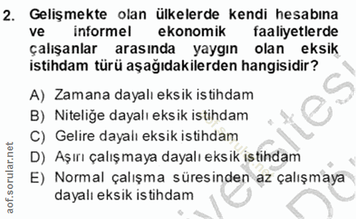 2. soru: Gelişmekte olan ülkelerde kendi hesabına ve informel ekonomik faaliyetlerde çalışanlar arasında yaygın olan eksik ist…