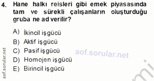 4. soru: Hane halkı reisleri gibi emek piyasasında tam ve sürekli çalışanların oluşturduğu gruba ne ad verilir? A) İkincil iş…