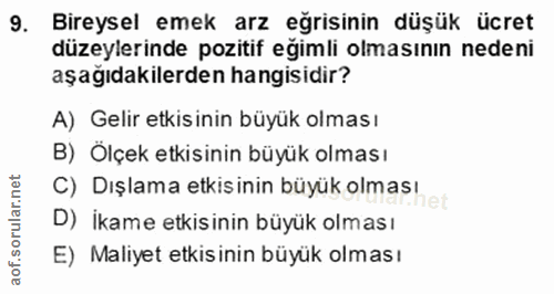 9. soru: Bireysel emek arz eğrisinin düşük ücret düzeylerinde pozitif eğimli olmasının nedeni aşağıdakilerden hangisidir? A) G…
