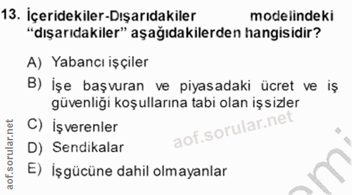 13. soru: İçeridekiler-Dışarıdakiler modelindeki "dışarıdakiler" aşağıdakilerden hangisidir? A) Yabancı işçiler B) İşe başvuran…
