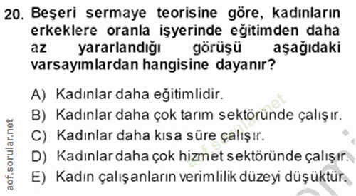 20. soru: Beşeri sermaye teorisine göre, kadınların erkeklere oranla işyerinde eğitimden daha az yararlandığı görüşü aşağıdaki…