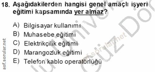 18. soru: Aşağıdakilerden hangisi genel amaçlı işyeri eğitimi kapsamında yer almaz? A) Bilgisayar kullanımı B) Muhasebe eğitimi…